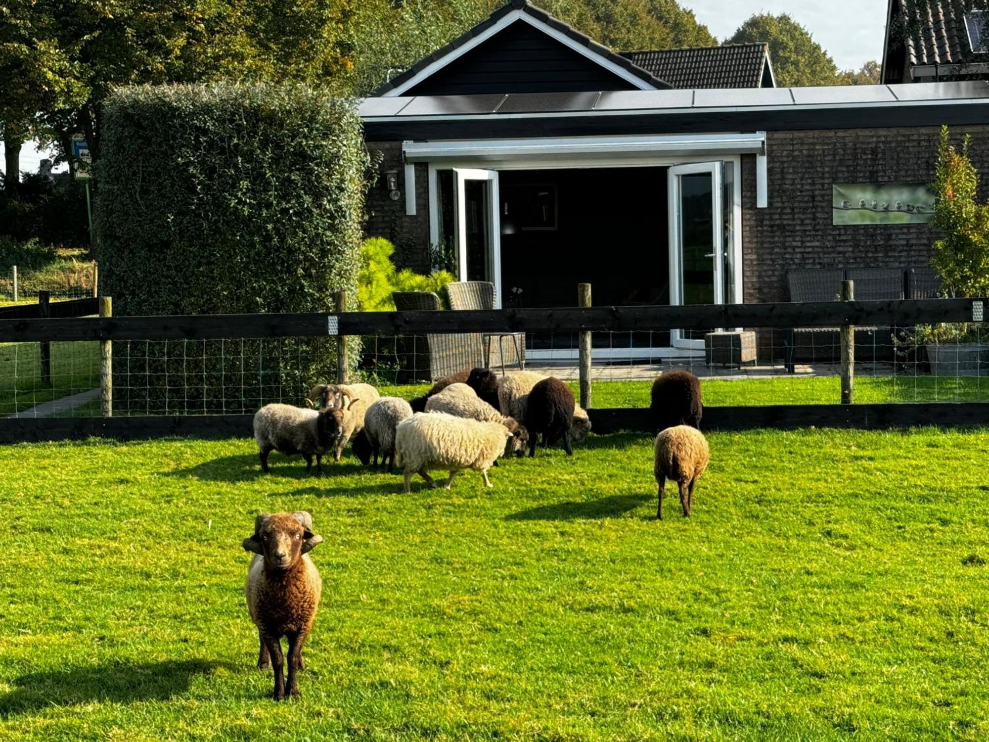 Vakantiewoning Le Garaazje 'S-Gravendeel Extérieur photo