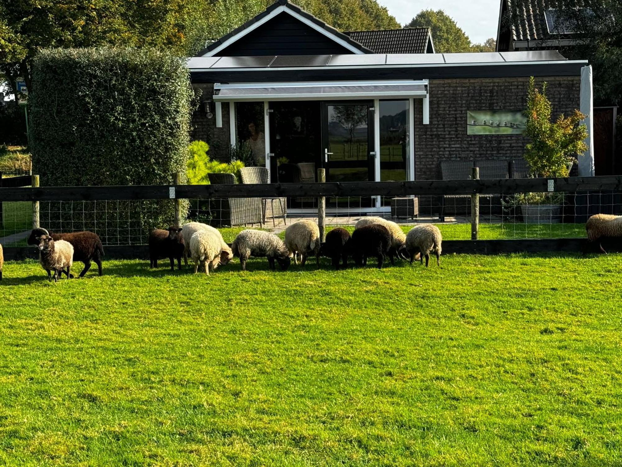 Vakantiewoning Le Garaazje 'S-Gravendeel Extérieur photo